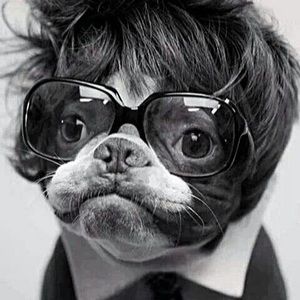 Meet your Posher, Johnny